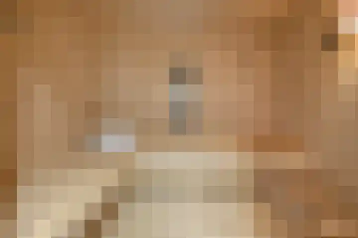 Omstraat 42 Born thumbnail 40