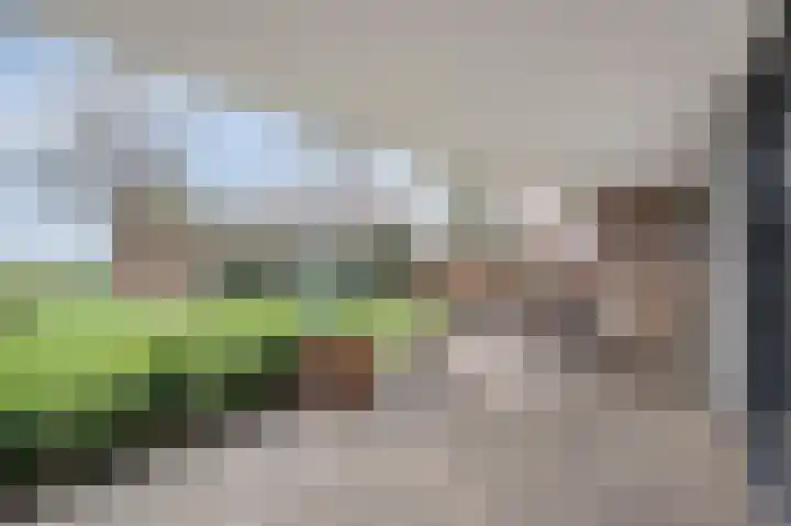 Omstraat 42 Born thumbnail 44