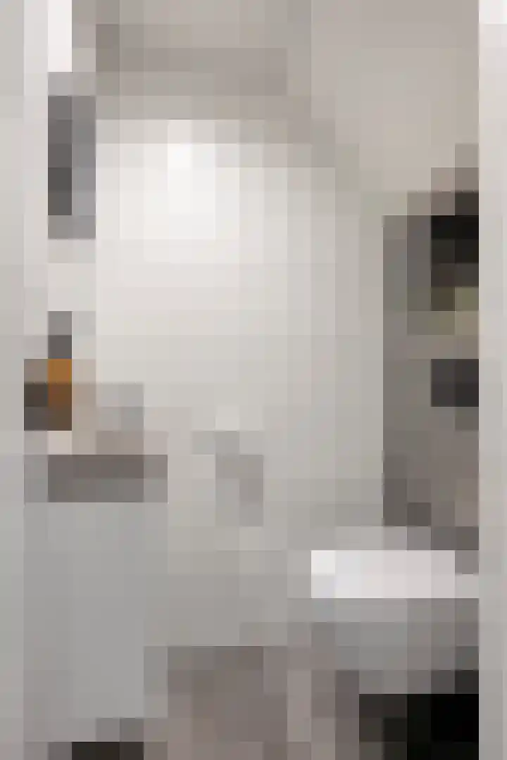 Omstraat 42 Born thumbnail 7