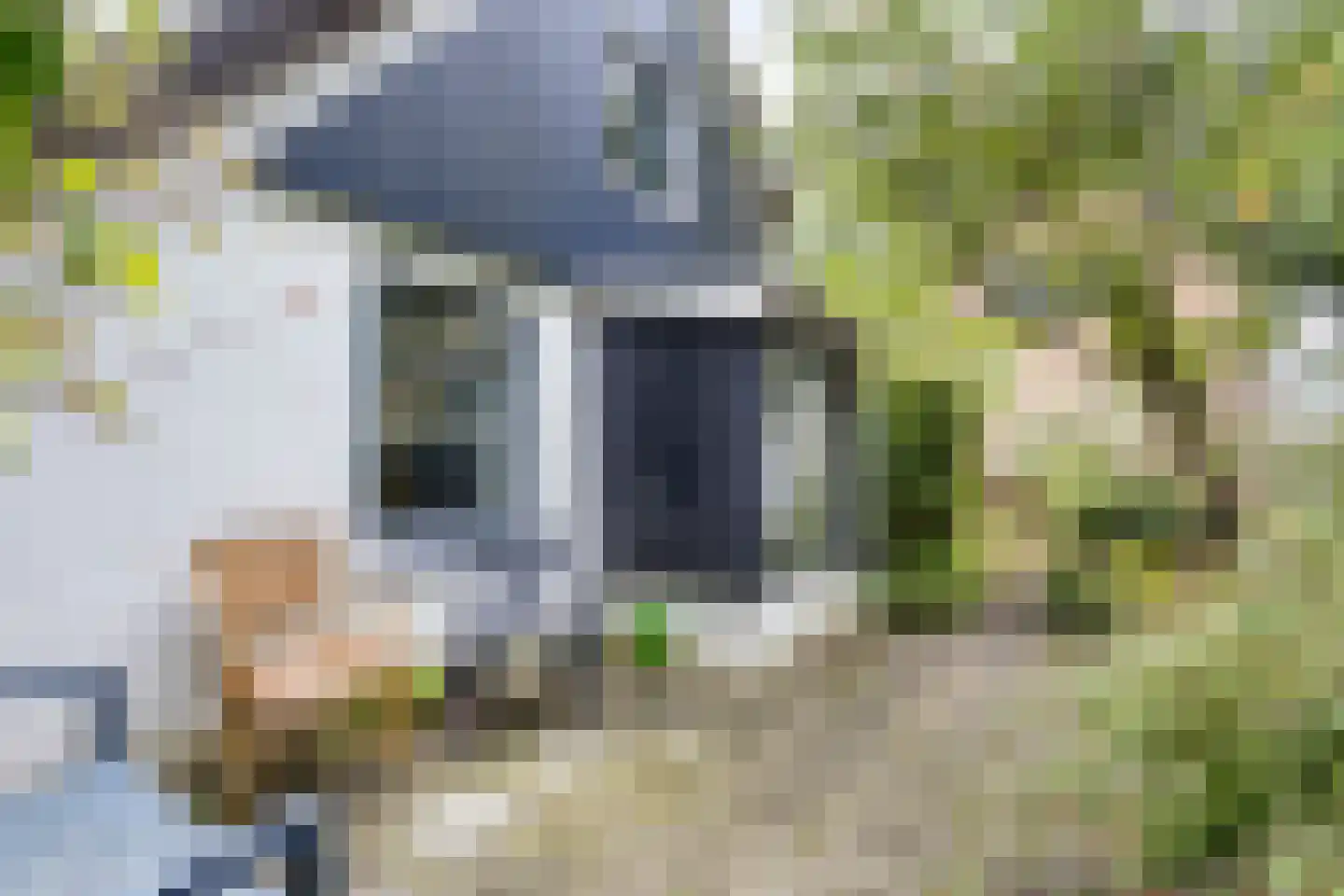 Omval 1 Alkmaar thumbnail 19
