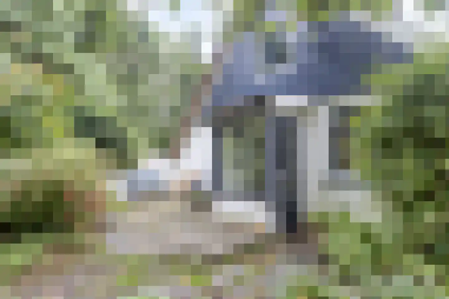 Omval 1 Alkmaar thumbnail 20