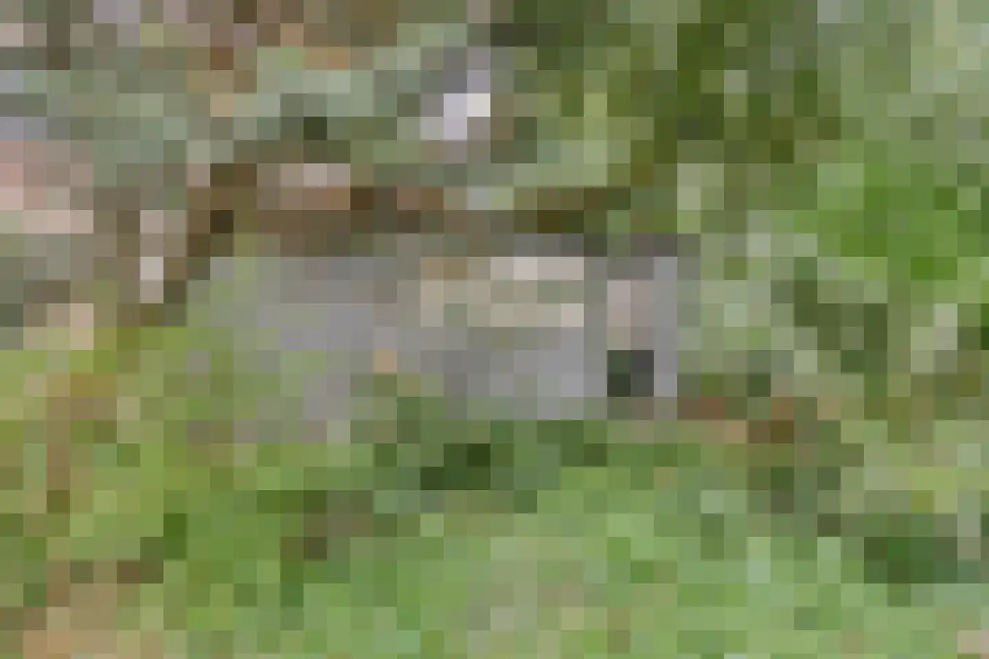 Omval 1 Alkmaar thumbnail 30