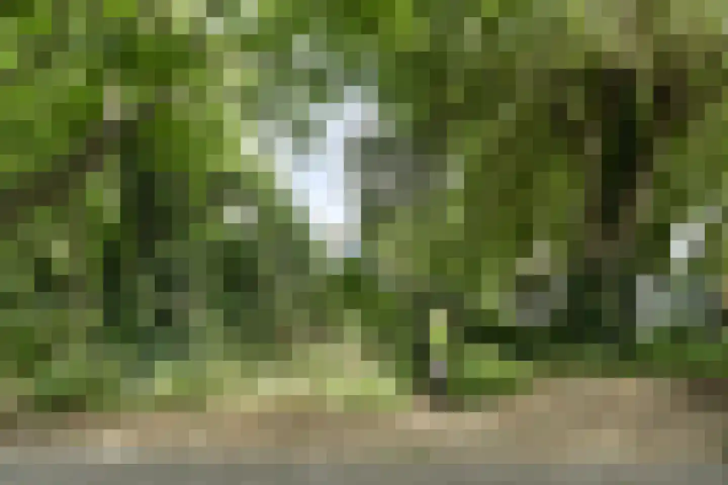 Omval 1 Alkmaar thumbnail 36