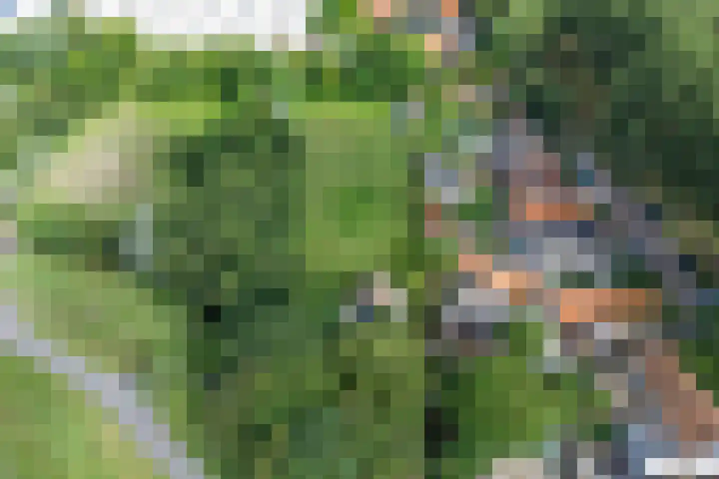 Omval 1 Alkmaar thumbnail 38