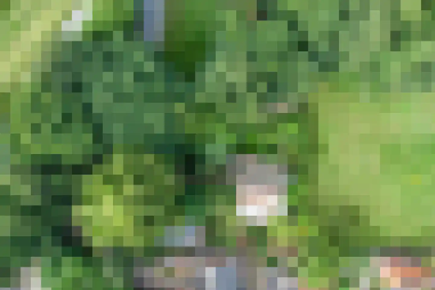 Omval 1 Alkmaar thumbnail 4