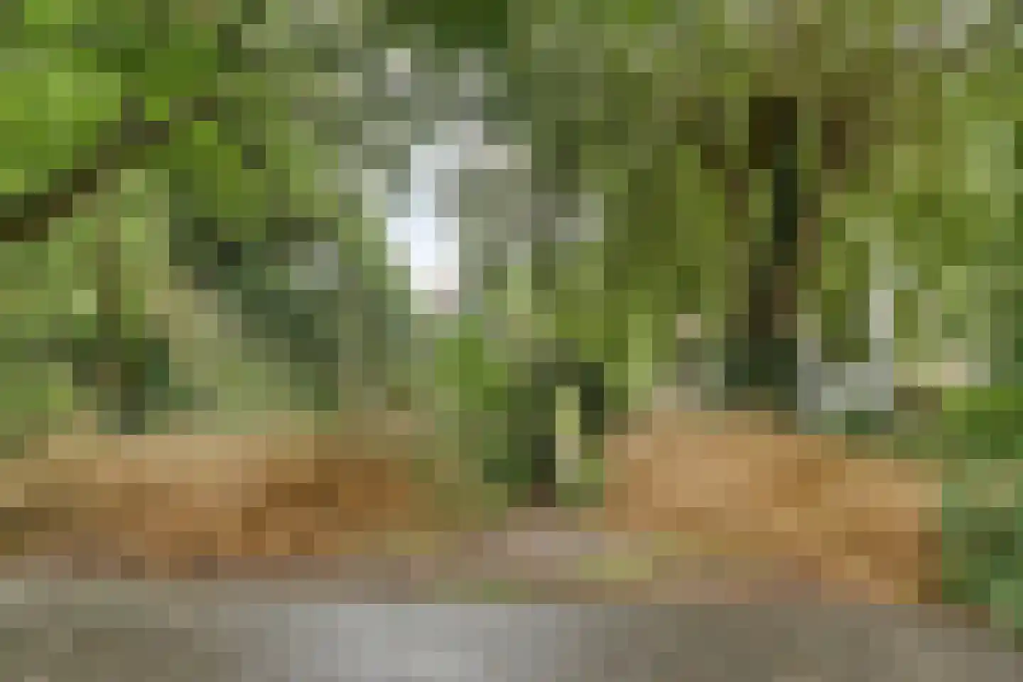 Omval 1 Alkmaar thumbnail 45