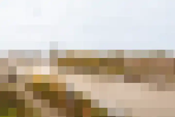 Omval 114 Amsterdam thumbnail 10