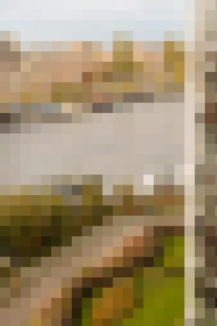 Omval 114 Amsterdam thumbnail 11