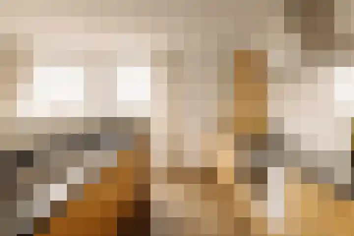 Omval 114 Amsterdam thumbnail 14