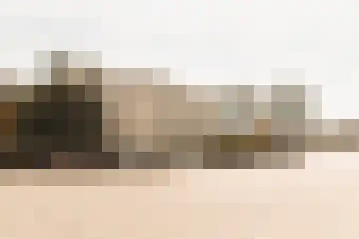 Omval 114 Amsterdam thumbnail 29