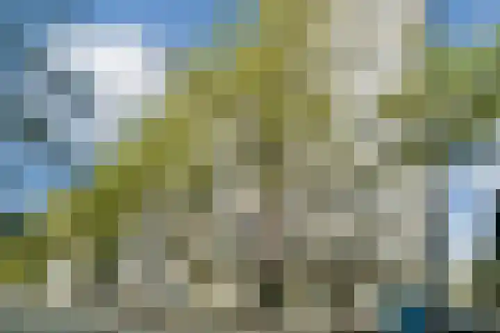 Omval 291 Amsterdam thumbnail 22