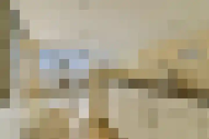 Omval 295 Amsterdam thumbnail 16