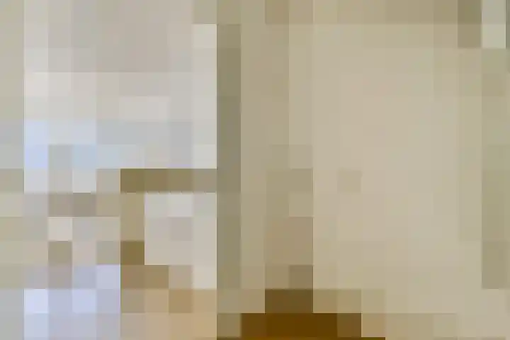 Omval 295 Amsterdam thumbnail 17