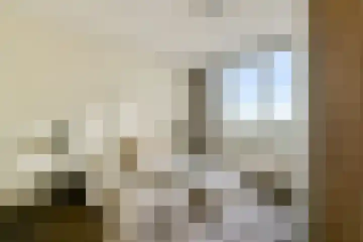Omval 295 Amsterdam thumbnail 19