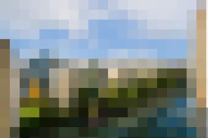 Omval 295 Amsterdam thumbnail 21