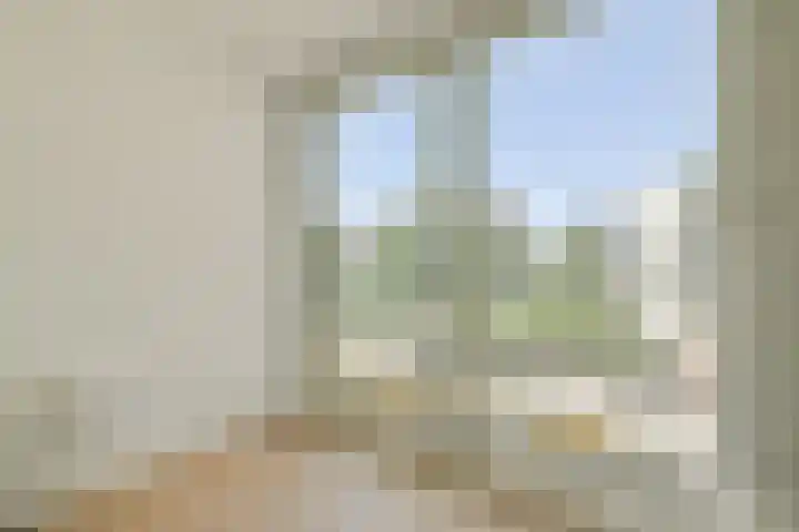 Omval 31 Amsterdam thumbnail 16