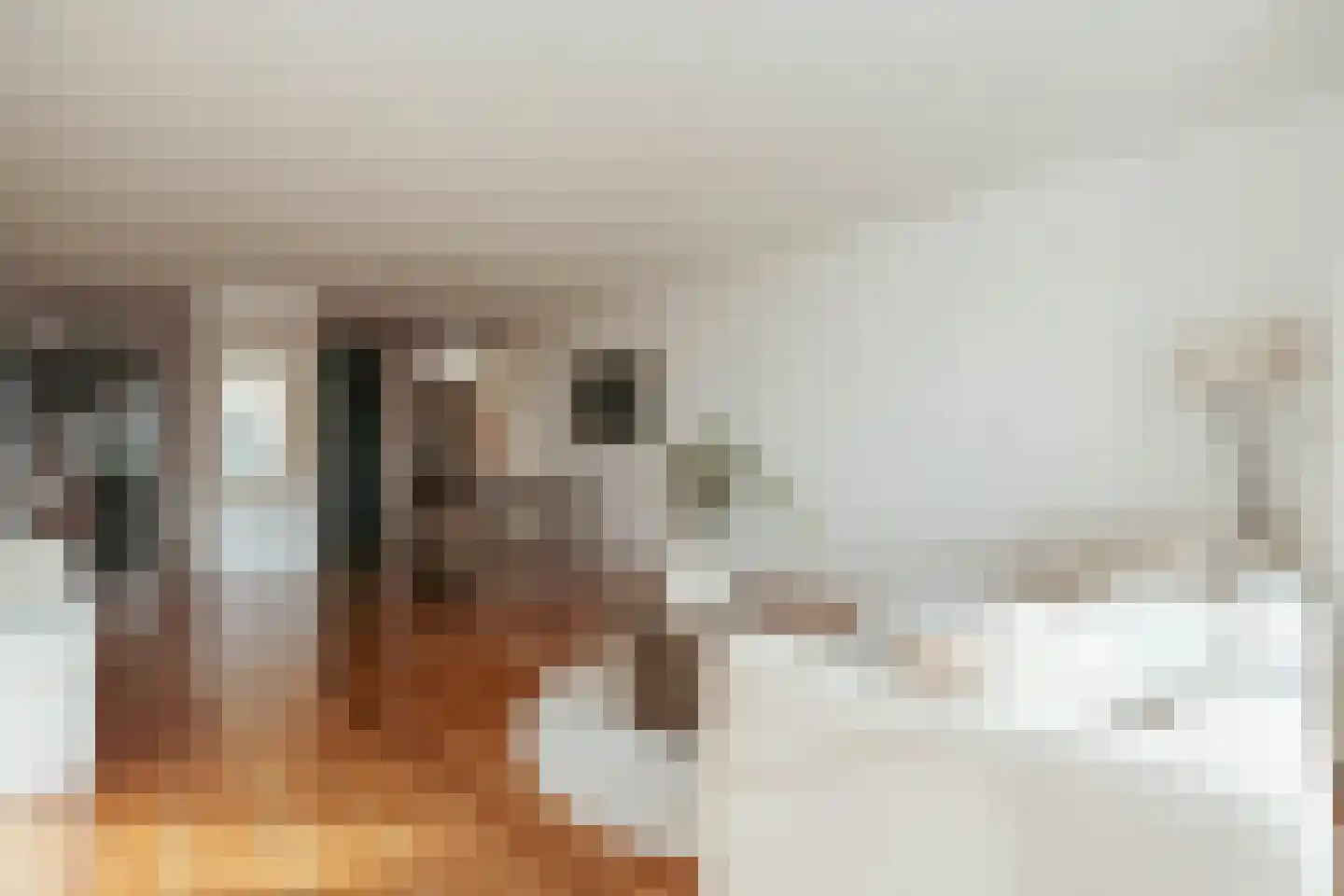 Omval 419 Amsterdam thumbnail 10