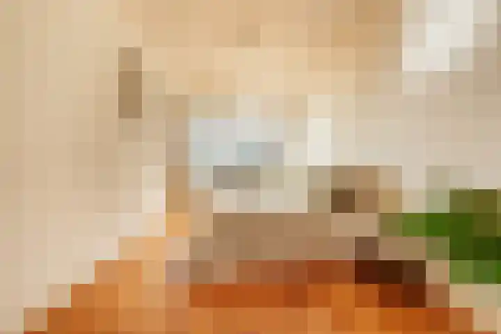 Omval 419 Amsterdam thumbnail 18