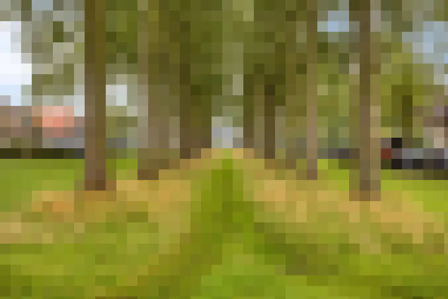 Omval 68 Alkmaar thumbnail 35