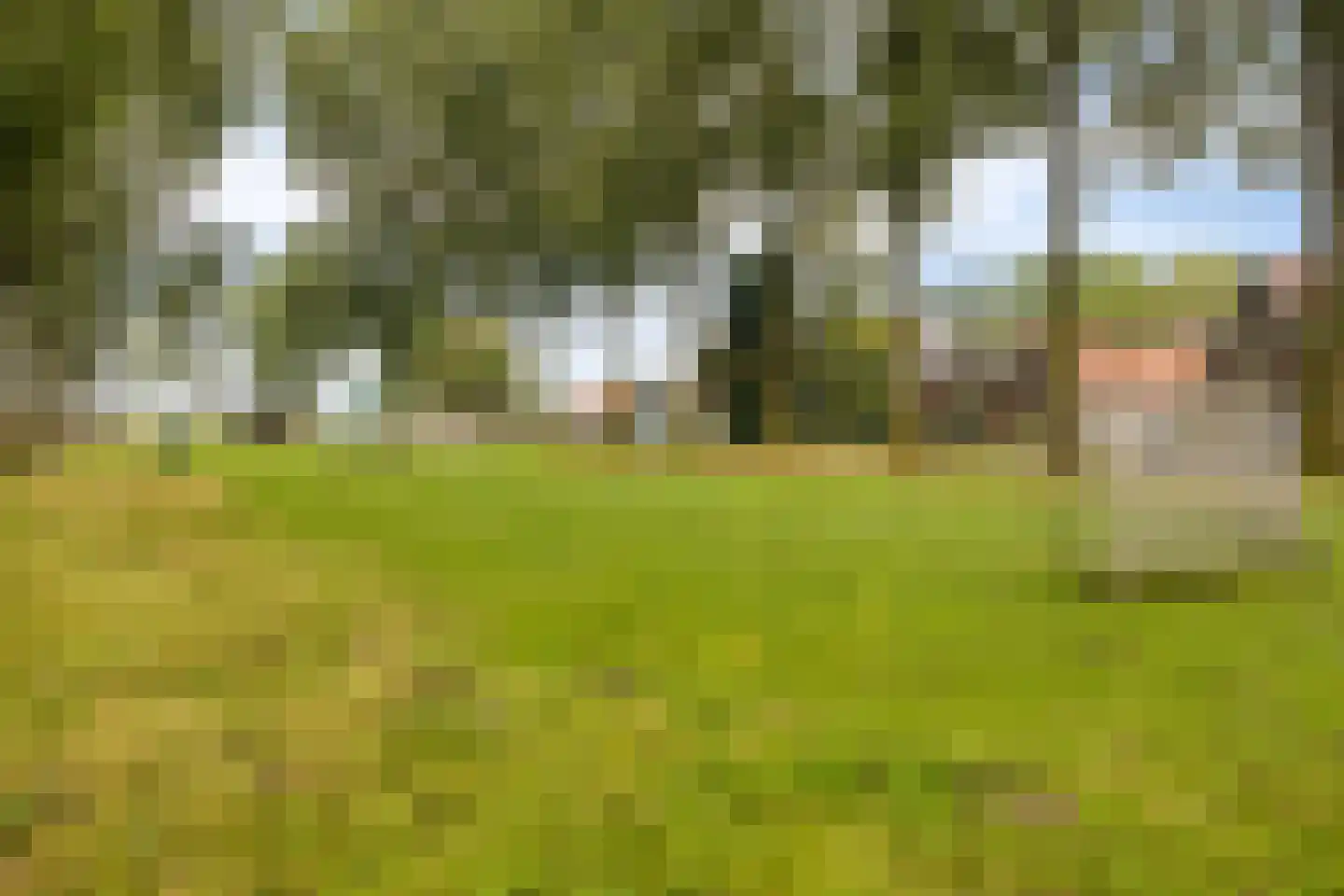 Omval 68 Alkmaar thumbnail 4