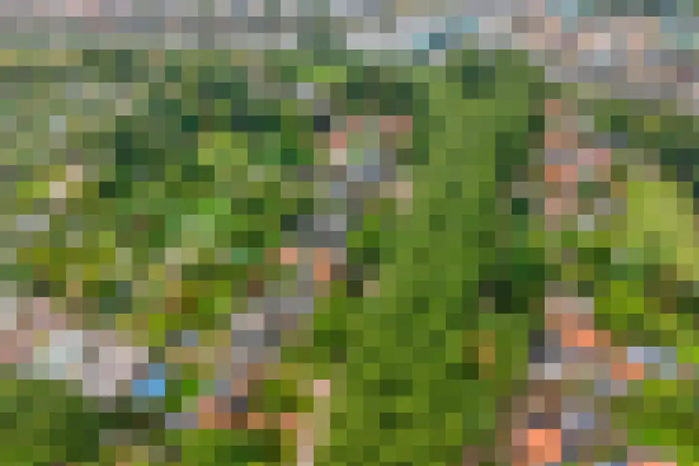 Omval 68 Alkmaar thumbnail 40