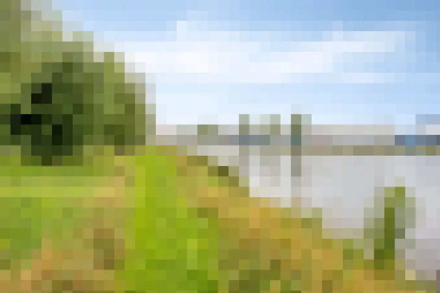 Omval 68 Alkmaar thumbnail 41