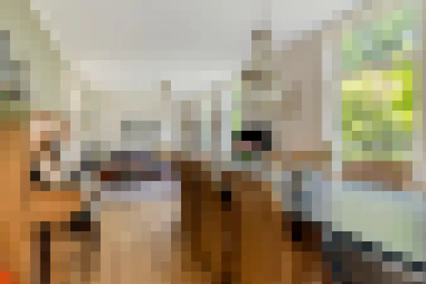 Omval 68 Alkmaar thumbnail 8