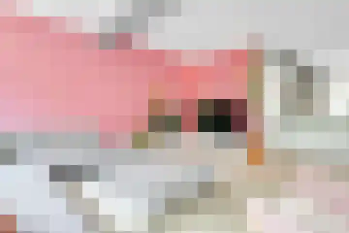 Omval 84 Amsterdam thumbnail 19