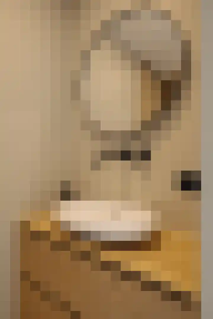 Omval 84 Amsterdam thumbnail 23