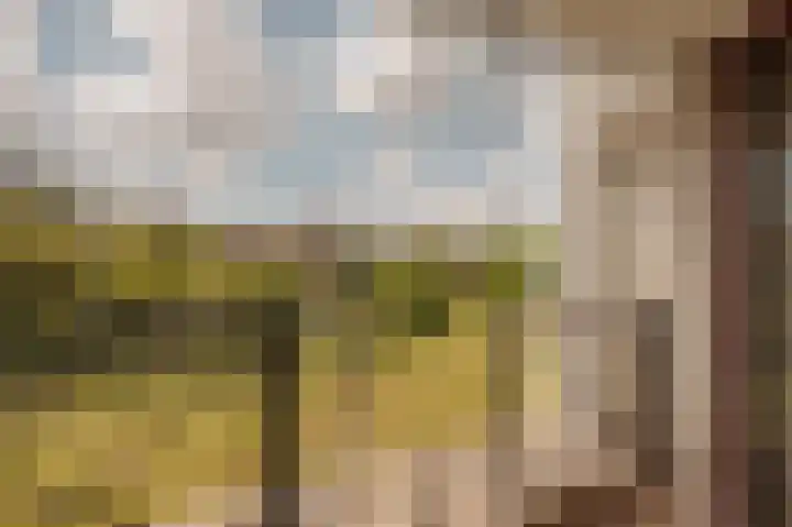 Omval 84 Amsterdam foto 3