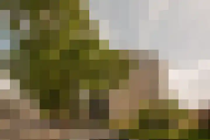 Omval 84 Amsterdam thumbnail 29