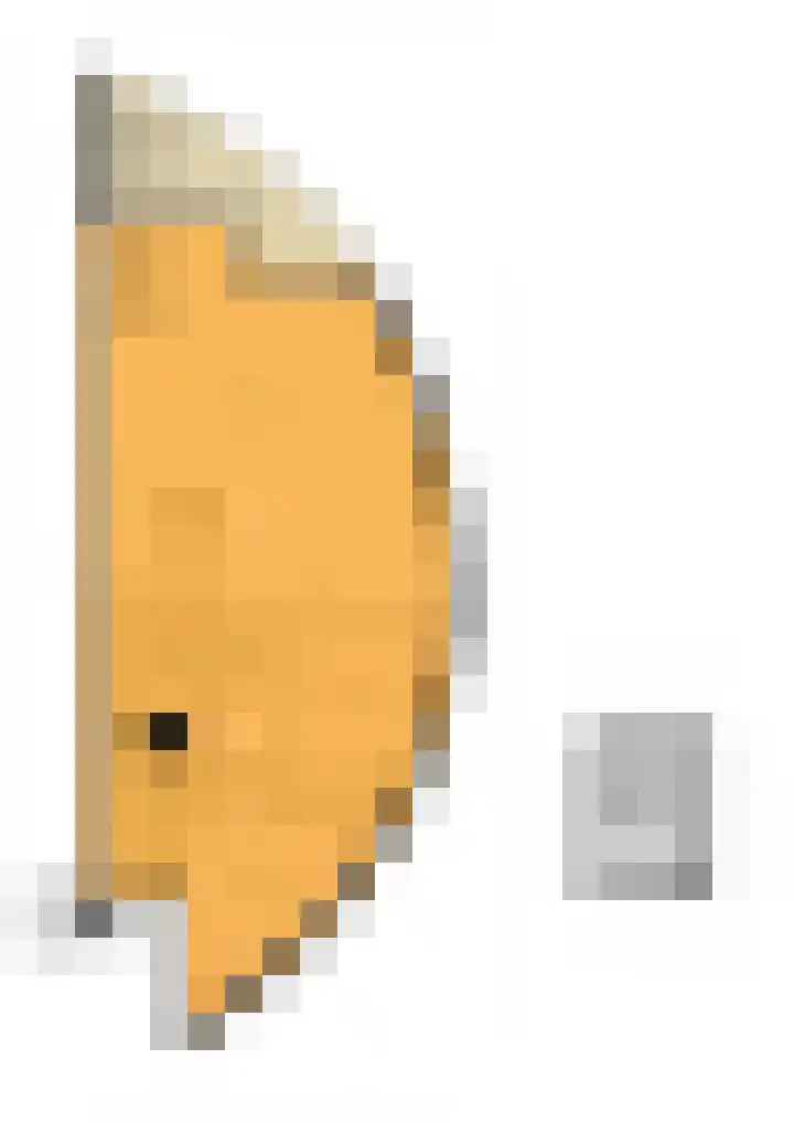 Omval 84 Amsterdam thumbnail 36