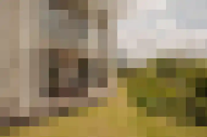 Omval 84 Amsterdam thumbnail 37