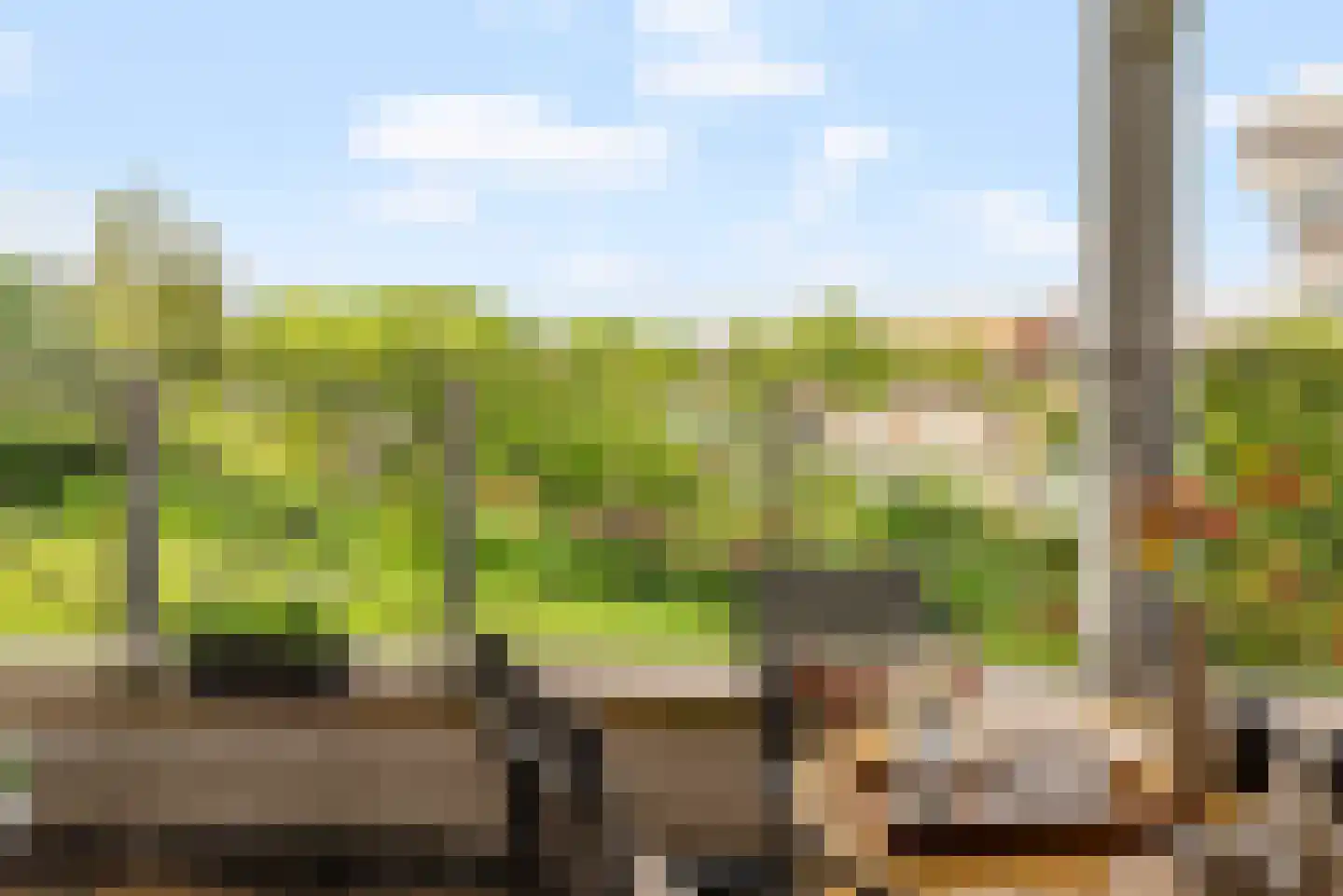 Omval 86 Amsterdam thumbnail 11