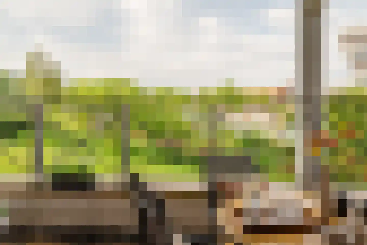 Omval 86 Amsterdam thumbnail 11