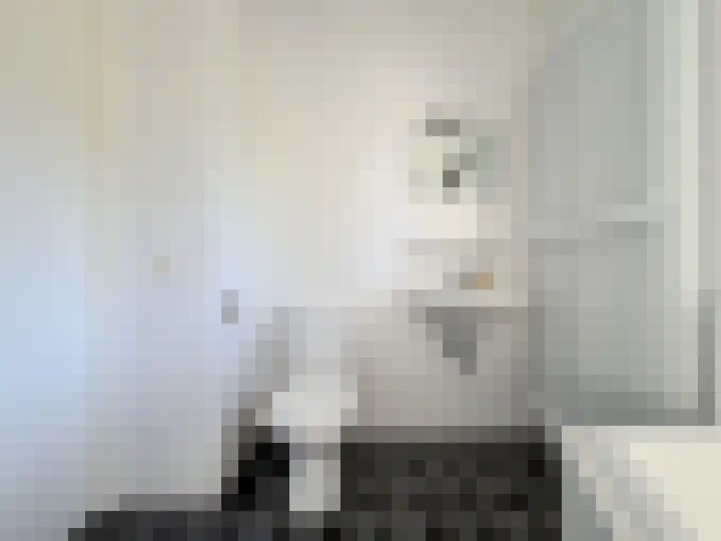 Onacklaan 71 Capelle aan den IJssel thumbnail 20