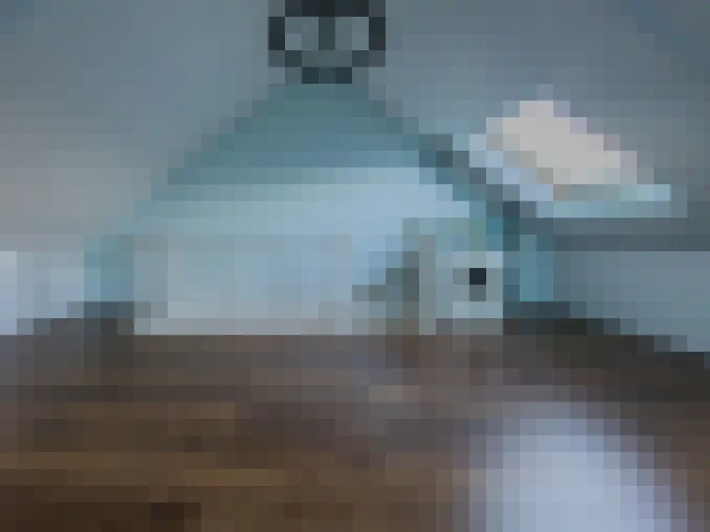 Onacklaan 71 Capelle aan den IJssel thumbnail 27
