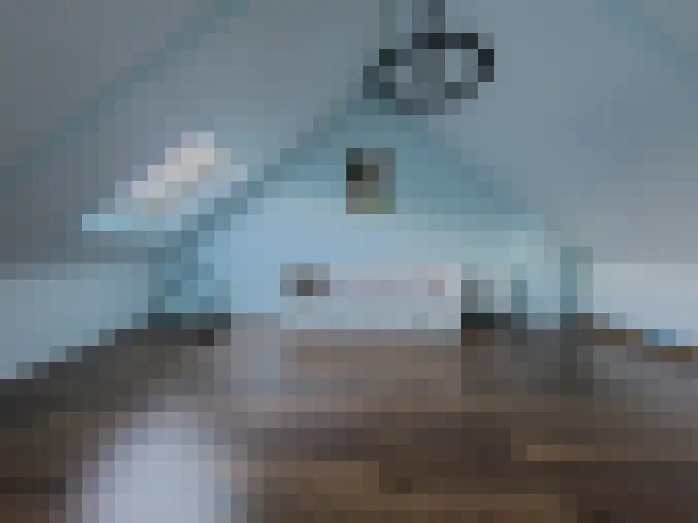 Onacklaan 71 Capelle aan den IJssel thumbnail 28