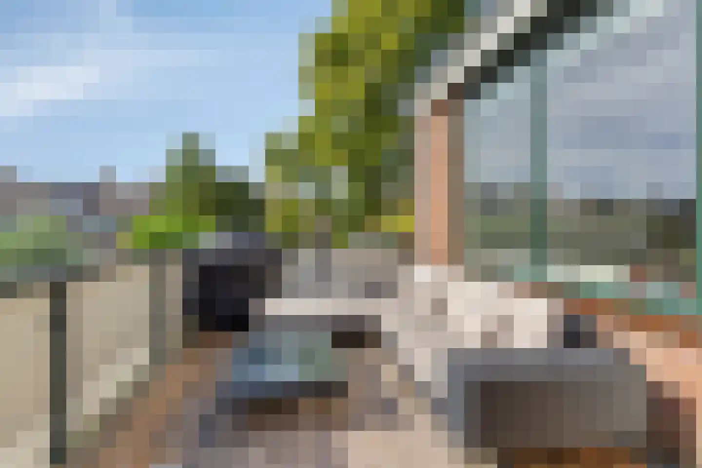 Onafhankelijkheidsweg 76 Leiden thumbnail 4