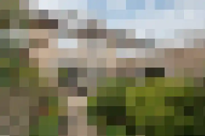 Onder de Beumkes 29 Velp thumbnail 22