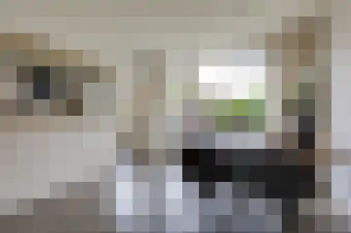 Onder de Beumkes 29 Velp thumbnail 9