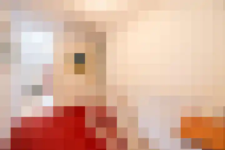 Onder de Bogen 12 Laren thumbnail 24