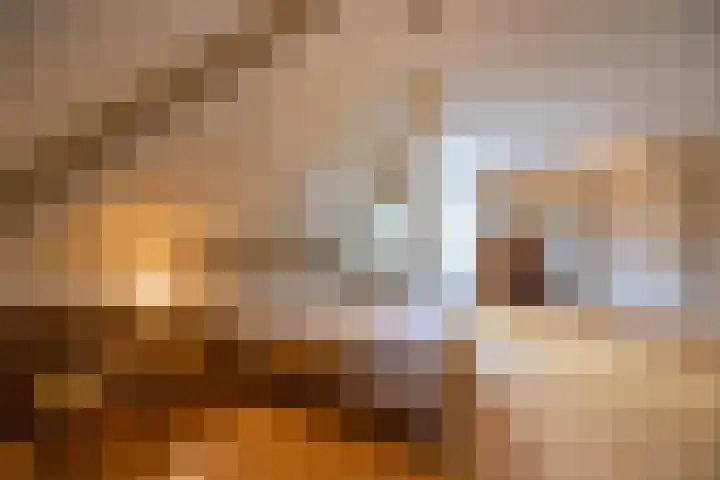Onder de Bogen 12 Laren thumbnail 26