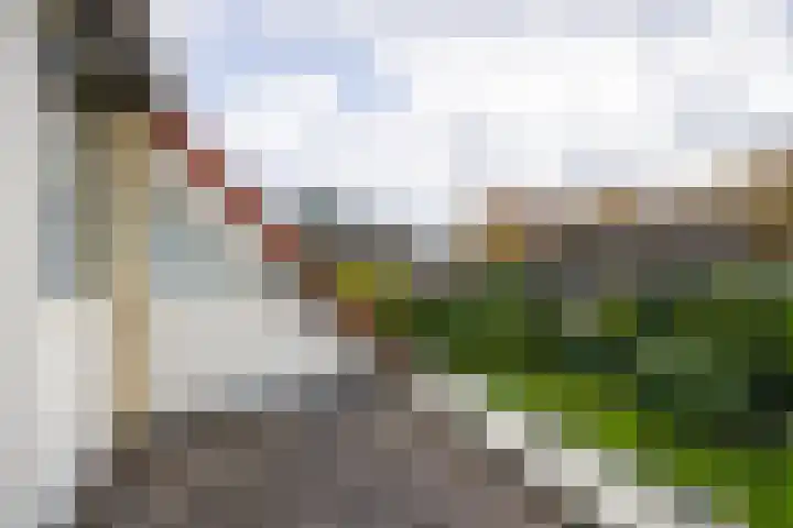Onder de Bogen 12 Laren thumbnail 28