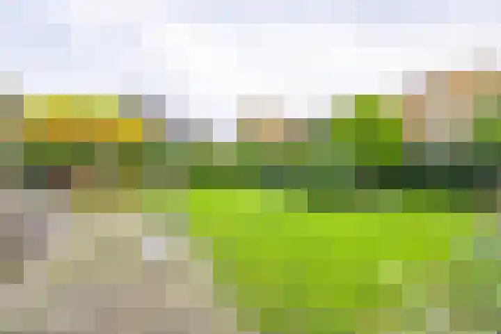 Onder de Bogen 12 Laren thumbnail 45