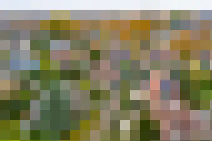Onder de Bogen 12 Laren thumbnail 48