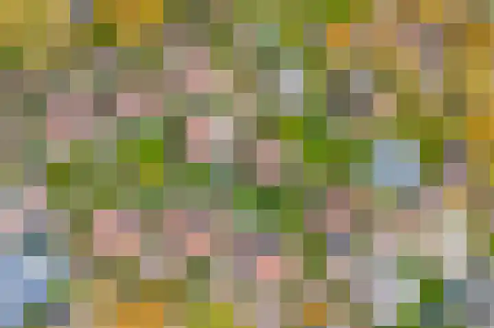 Onder de Bogen 12 Laren thumbnail 49