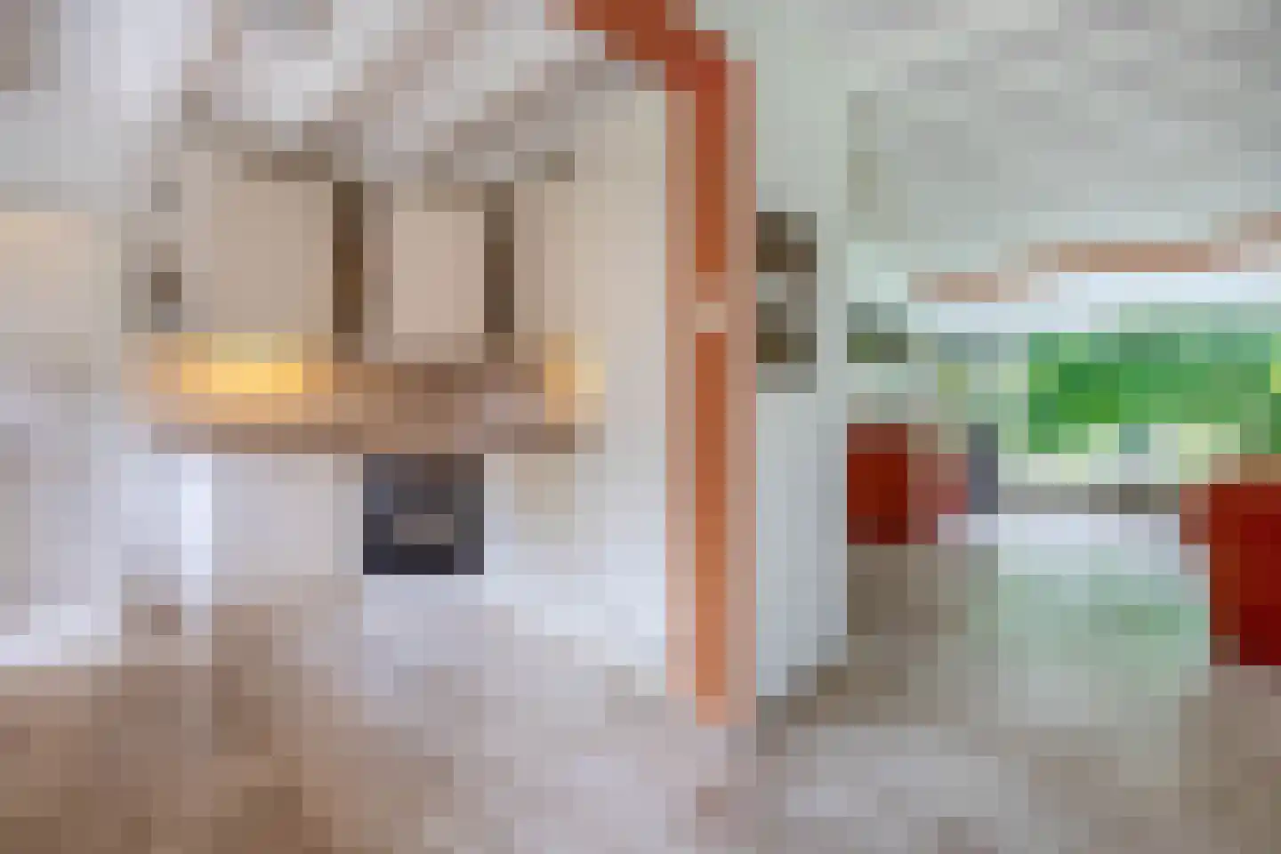 Onder de Bomen 15 Renkum thumbnail 19