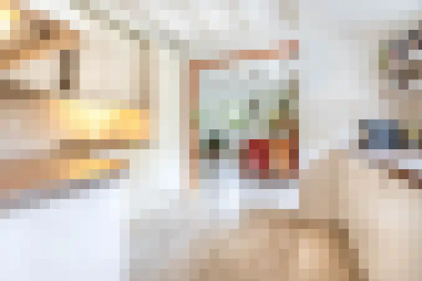 Onder de Bomen 15 Renkum thumbnail 20