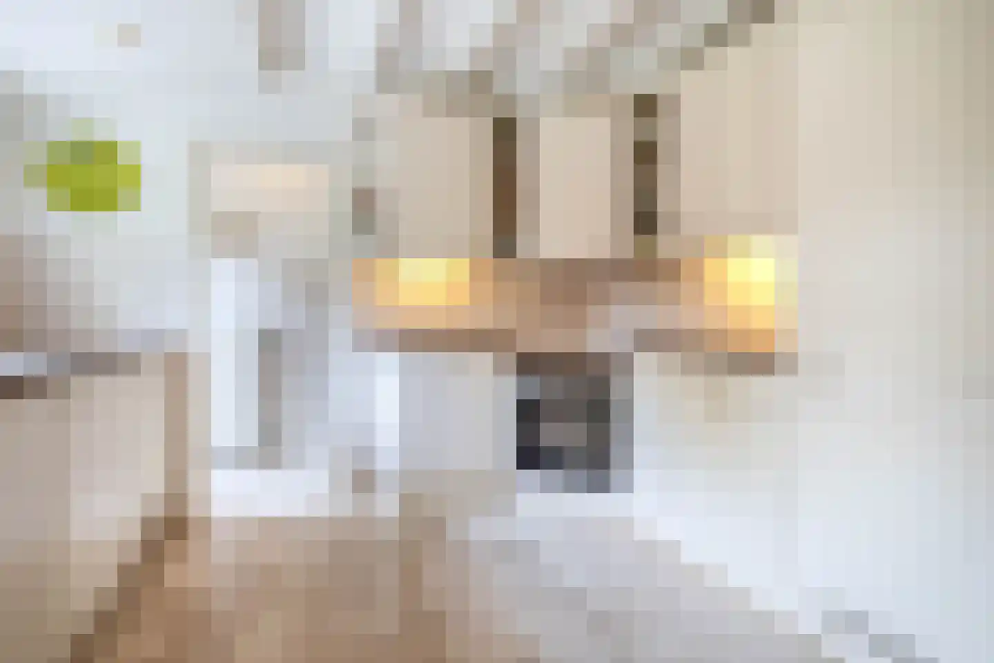 Onder de Bomen 15 Renkum thumbnail 23